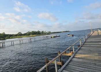 Minnow Bucket Resort hotel thumbnail 6