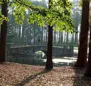 Little Ocmulgee State Park and Lodge hotel detail image 5