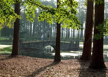 Little Ocmulgee State Park and Lodge hotel thumbnail 5