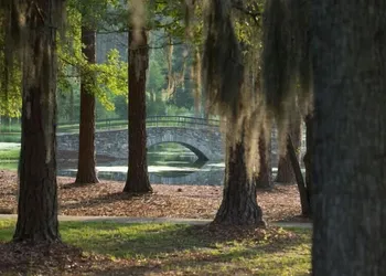 Little Ocmulgee State Park and Lodge hotel thumbnail 6