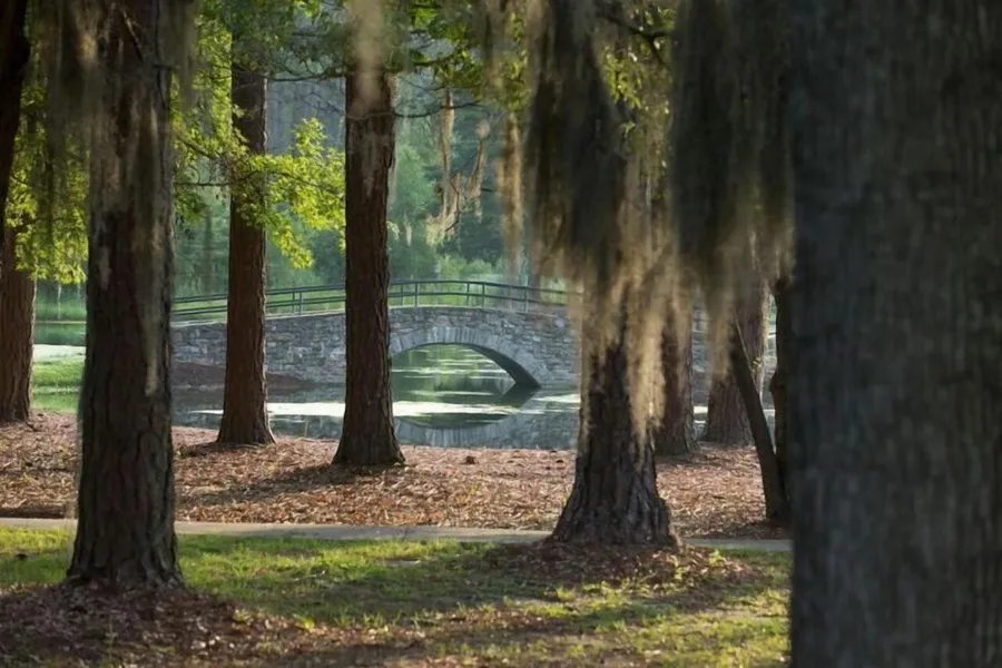 Little Ocmulgee State Park and Lodge hotel detail image 6