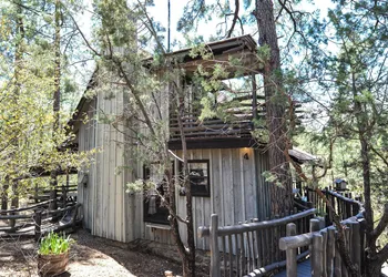Bear Creek Motel And Cabins hotel thumbnail 4