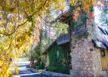 Bear Creek Motel And Cabins hotel thumbnail 6