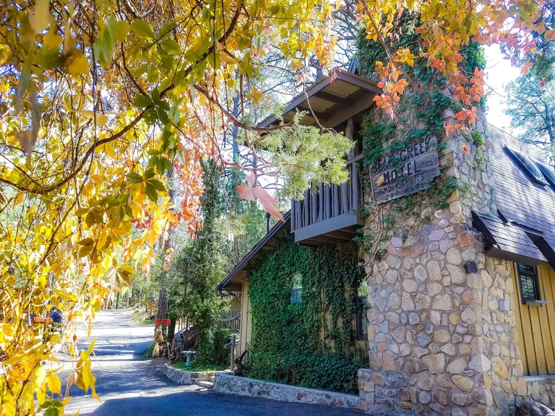 Bear Creek Motel And Cabins hotel detail image 6