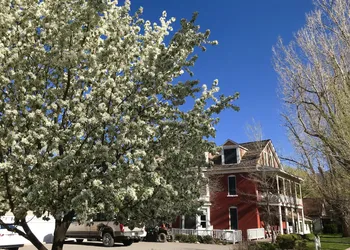 Bross Hotel hotel thumbnail 5