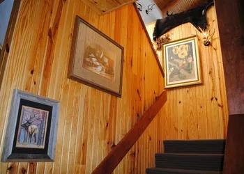 ReWild Ranch hotel thumbnail 8