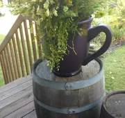 Hudson Manor Bed and Breakfast hotel detail image 7