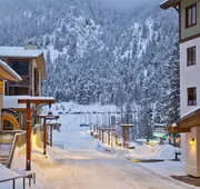 The Edelweiss Lodge and Spa hotel detail image 3