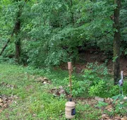 Sugar Creek Retreat hotel detail image 3