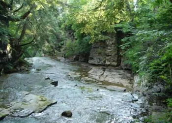 CliffSide by The Falls hotel thumbnail 5