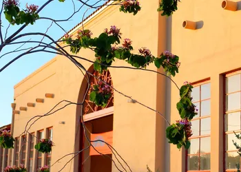 Sonoran Desert Inn & Conference Center hotel thumbnail 2