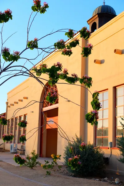 Sonoran Desert Inn & Conference Center hotel detail image 2