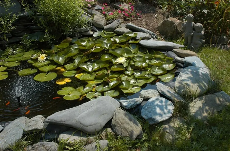Gardenview Bed and Breakfast hotel detail image 2