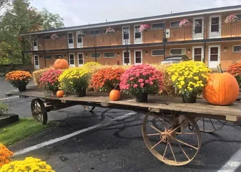 Cianci's Motel and Suites hotel thumbnail 8