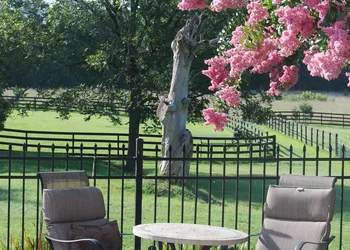 The Colonels B&B and Inn hotel thumbnail 7