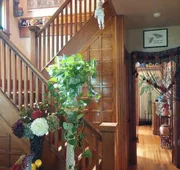 Oasis Bed and Breakfast hotel detail image 5