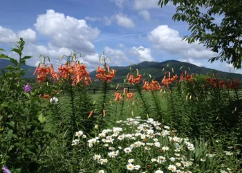 Montfair Resort Farm hotel thumbnail 6