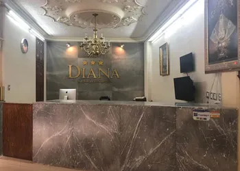 Hotel Diana hotel thumbnail 5