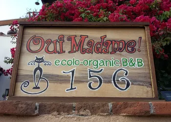 B&B Oui Madame hotel thumbnail 3