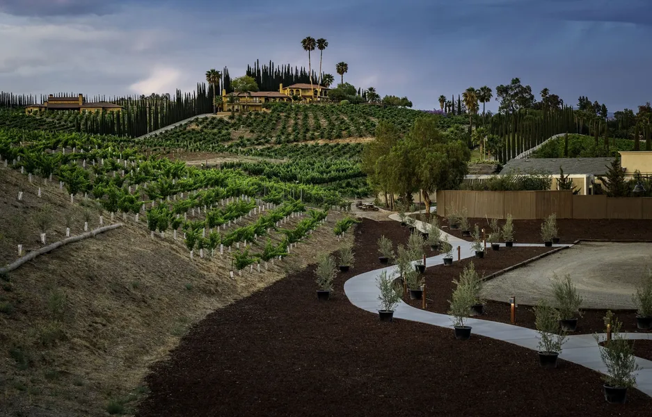 Europa Village Wineries and Resort hotel detail image 2