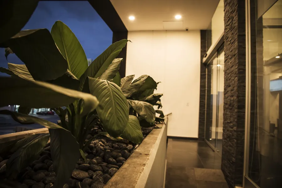 Lithio Hotel hotel detail image 2