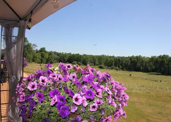 Golden Pathways Retreat B&B hotel thumbnail 8