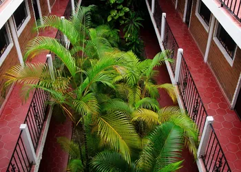 Hotel Azteca hotel thumbnail 5
