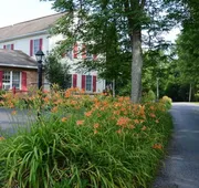 Red Cardinal Bed and Breakfast hotel detail image 7