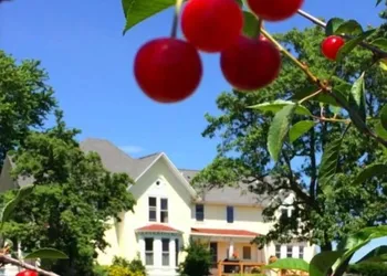 Country Hermitage B&B hotel thumbnail 4