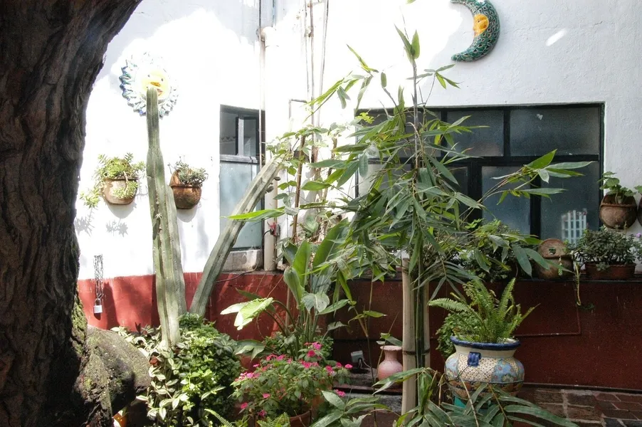 Casa Erendira hotel detail image 2