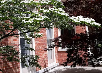 Rose Corner Inn hotel thumbnail 3
