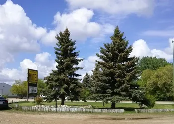 Moosomin Motel hotel thumbnail 6