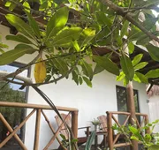 Selvatica Eco Hotel hotel detail image 5