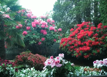 The Stone Hedge B&B hotel thumbnail 7