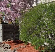 Lakeshor Motor Inn hotel detail image 4
