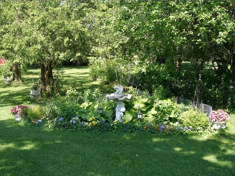 A Valley View Bed & Breakfast hotel detail image 6