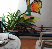 Alicia's Bed & Breakfast hotel detail image 7
