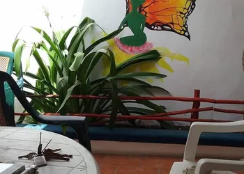 Alicia's Bed & Breakfast hotel thumbnail 7