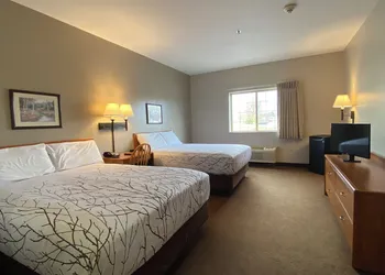 Edmore Inn hotel thumbnail 7