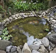 Guayaba Inn Boutique Hotel hotel detail image 4