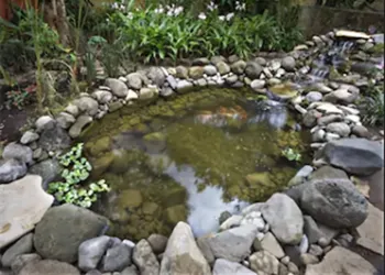 Guayaba Inn Boutique Hotel hotel thumbnail 4