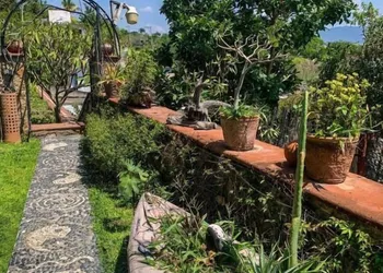 La Casa del Guamúchil hotel thumbnail 6
