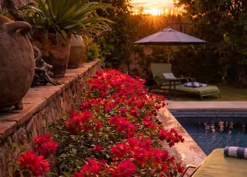 La Casa del Guamúchil hotel thumbnail 8