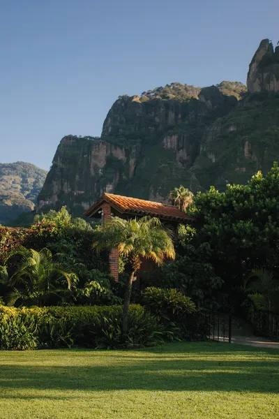 La Buena Vibra Wellness Resort & SPA hotel detail image 6