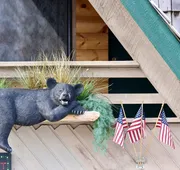 Rocky Mountain Lodge hotel detail image 3