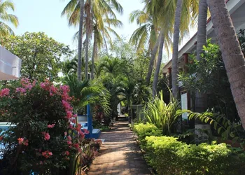 Hotel Albatros hotel thumbnail 3