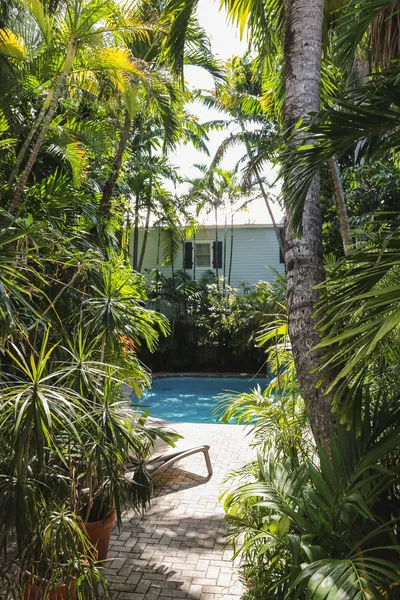 Tropical Inn hotel detail image 2