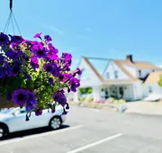 Blue Spruce Motel & Townhouses hotel detail image 3