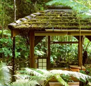 Volcano Rainforest Retreat hotel detail image 4