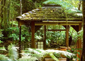 Volcano Rainforest Retreat hotel thumbnail 4
